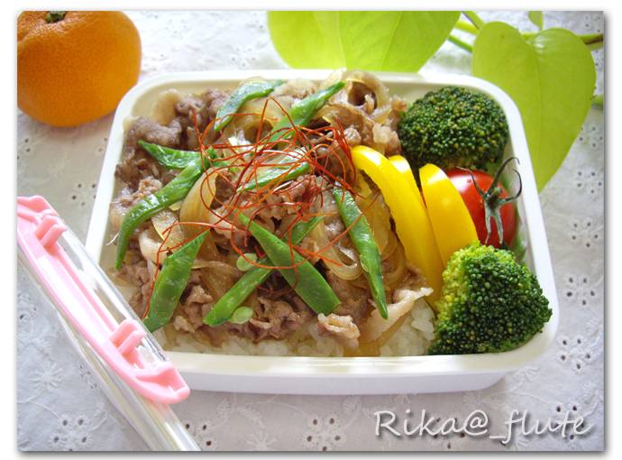 牛丼のお弁当_c0103827_135427.jpg