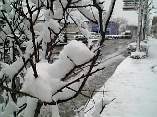 e0145332_0154336.jpg