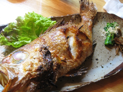 お魚食べるならここです!「居酒屋 お福」_b0140235_1952128.jpg