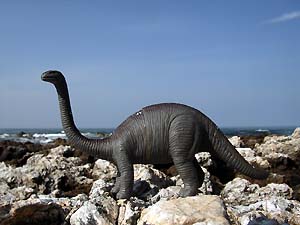 ブロントザウルス : Beachcomber's Logbook