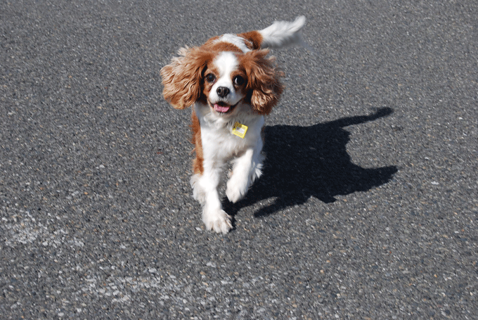 c0136838_224233.gif