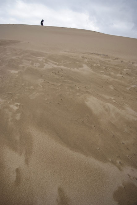 b0075541_76478.jpg