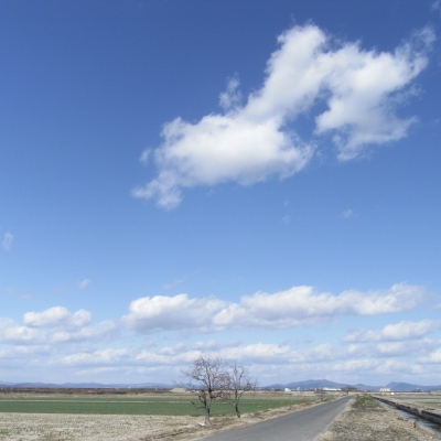 ましかくで今日の空_d0090744_031885.jpg