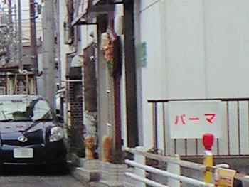 c0025348_0152390.jpg
