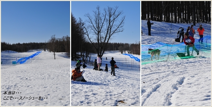 “終わりよければすべてヨシ”の雪遊び旅行（すべてポジティブに～・笑）_e0106557_22151669.jpg