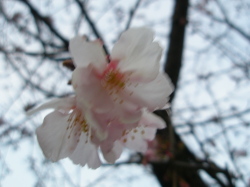 c0140561_22123.jpg