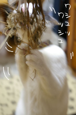 a0064067_23413880.jpg