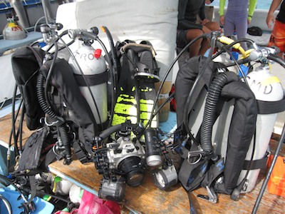 d0113476_8272876.jpg