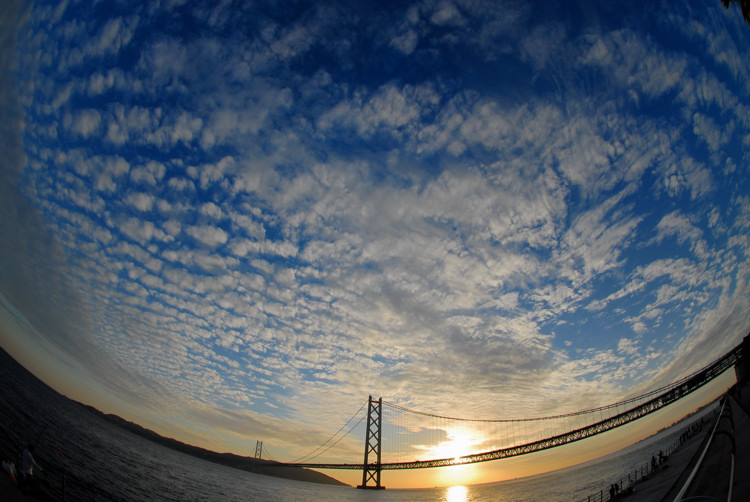 e0169286_05173.jpg