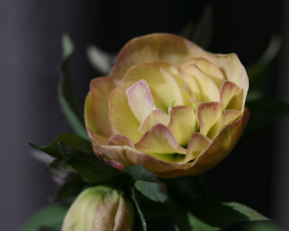 e0129991_14483880.jpg