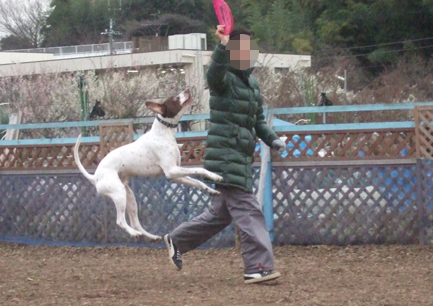 ちょこっとお花見　＆　ラン_e0060693_23361423.jpg