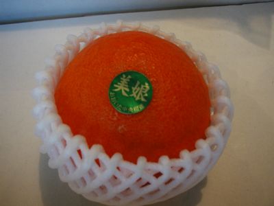 d0149103_17162457.jpg