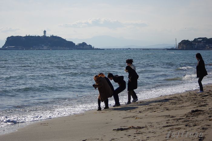 富士山には会えなかったけれど・・・湘南の海_b0151409_2257141.jpg