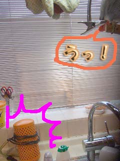 c0133013_15334083.jpg