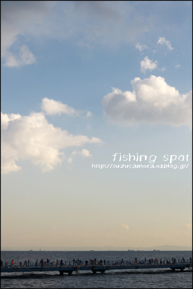 海づり桟橋_f0100215_23465739.jpg