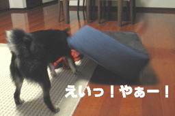 c0185516_23134799.jpg