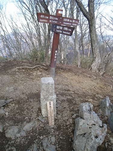 e0117318_1153676.jpg