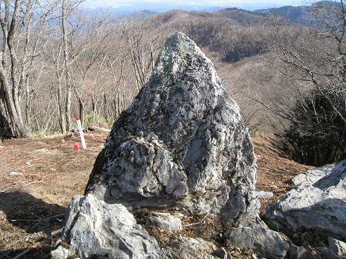 e0117318_116222.jpg