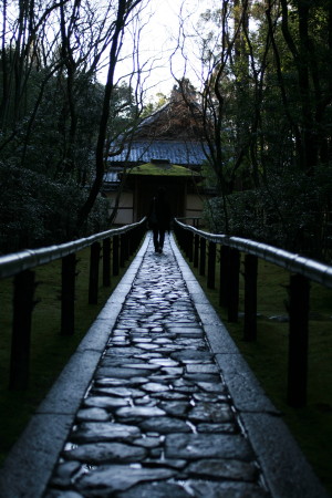 京都おデート　4.高桐院（大徳寺塔頭）_f0097620_8354612.jpg