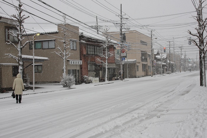 雪降る五菜堀_b0128621_20211296.jpg