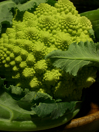 c0086221_13625.jpg
