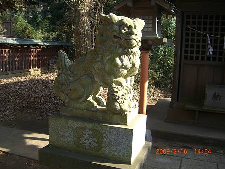 鬼みはんもキモイッと泣く狛犬　船橋／須賀神社_d0065324_23114910.jpg