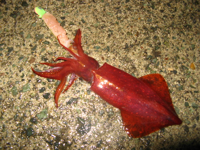 c0168626_14441.jpg