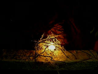 Deep psychology_c0102228_22282560.jpg