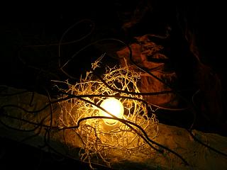 Deep psychology_c0102228_22283997.jpg