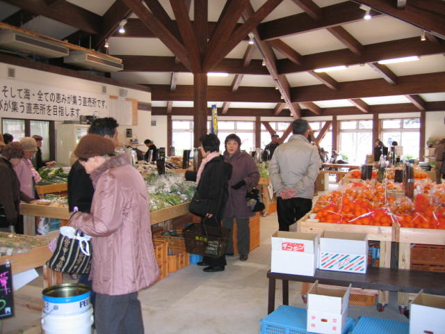 南伊豆湯の花売店に仕掛けた流木爆弾_e0044434_005157.jpg