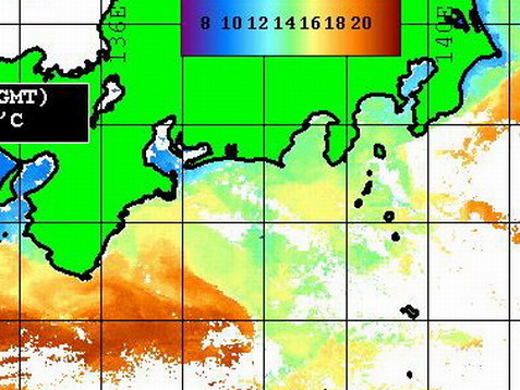 うーーーん　、　ビミョー・・・！！ 【カジキ マグロ トローリング】_f0009039_9464117.jpg