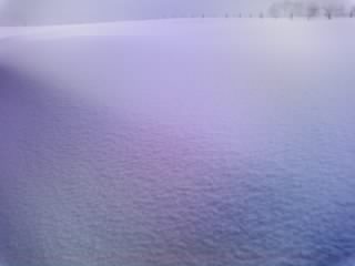 e0145441_18545456.jpg