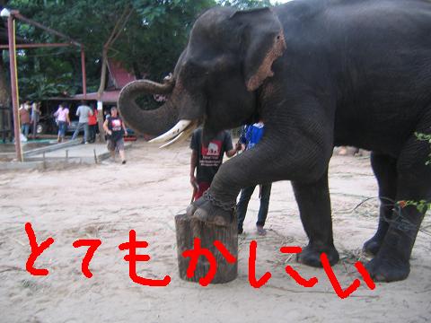 f0161151_1113585.jpg