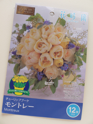 アイリスオーヤマ 花時間コレクション チューリップブーケ_e0158653_239188.jpg