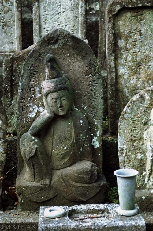 煩悩尽きず + NIKON FE モルト貼替 : T O K I B A K O