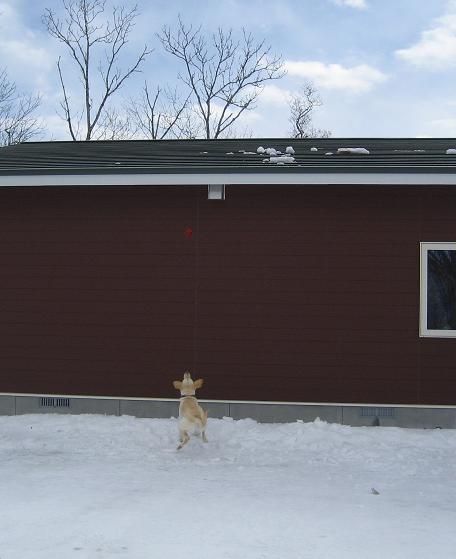 c0117058_92081.jpg