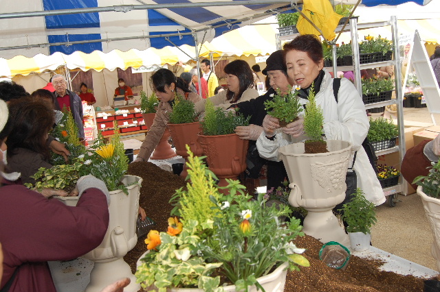 花フェスタ_d0101562_10515193.jpg