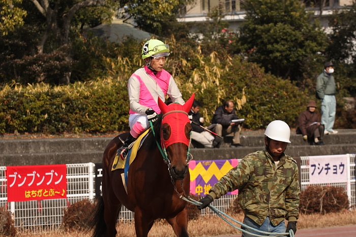 2009年1月17日（土） 高知競馬 3R_a0077663_18252148.jpg