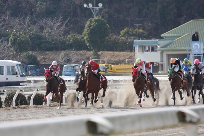 2009年1月17日（土） 高知競馬 3R_a0077663_18272238.jpg