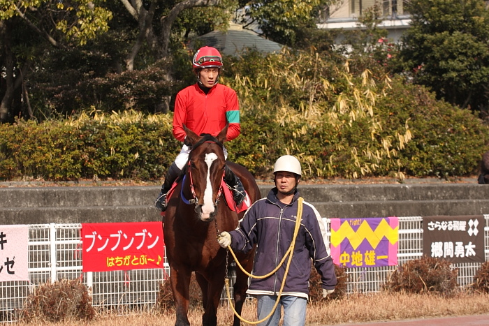 2009年1月17日（土） 高知競馬 3R_a0077663_1827342.jpg