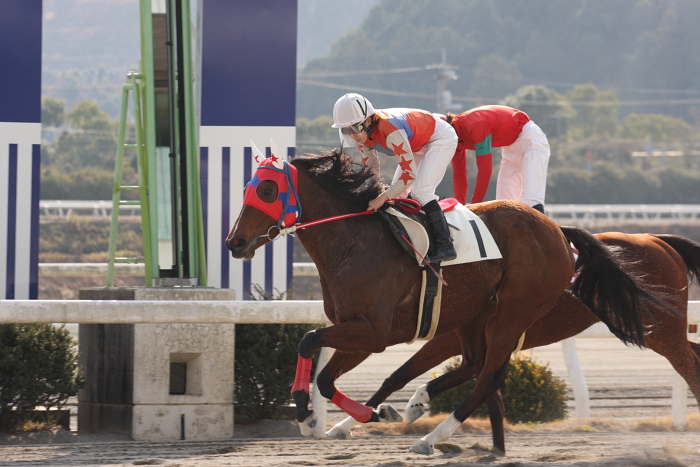 2009年1月17日（土） 高知競馬 3R_a0077663_18282165.jpg