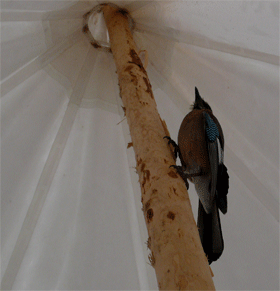 f0163063_16512865.gif