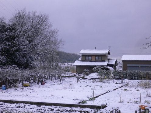 ２００９年２月２０日（金）　少しだけ雪_a0063364_2118645.jpg