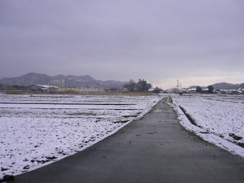 ２００９年２月２０日（金）　少しだけ雪_a0063364_21241677.jpg