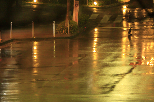 夜の雨の歩道 想い返せば 光陰流水 夜の雨の歩道 想い返せば 光陰流水