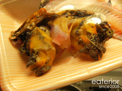 ふぐよりおいしい おにおこぜ オニオコゼ 鬼虎魚 Eaterior