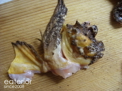 ふぐよりおいしい おにおこぜ オニオコゼ 鬼虎魚 Eaterior