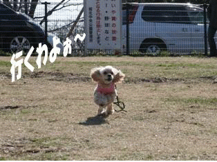 c0128303_23315595.gif