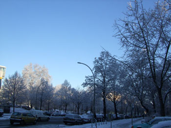 e0149604_3422666.jpg