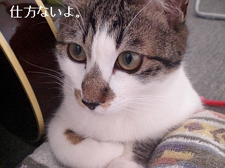 d0131207_12154129.jpg